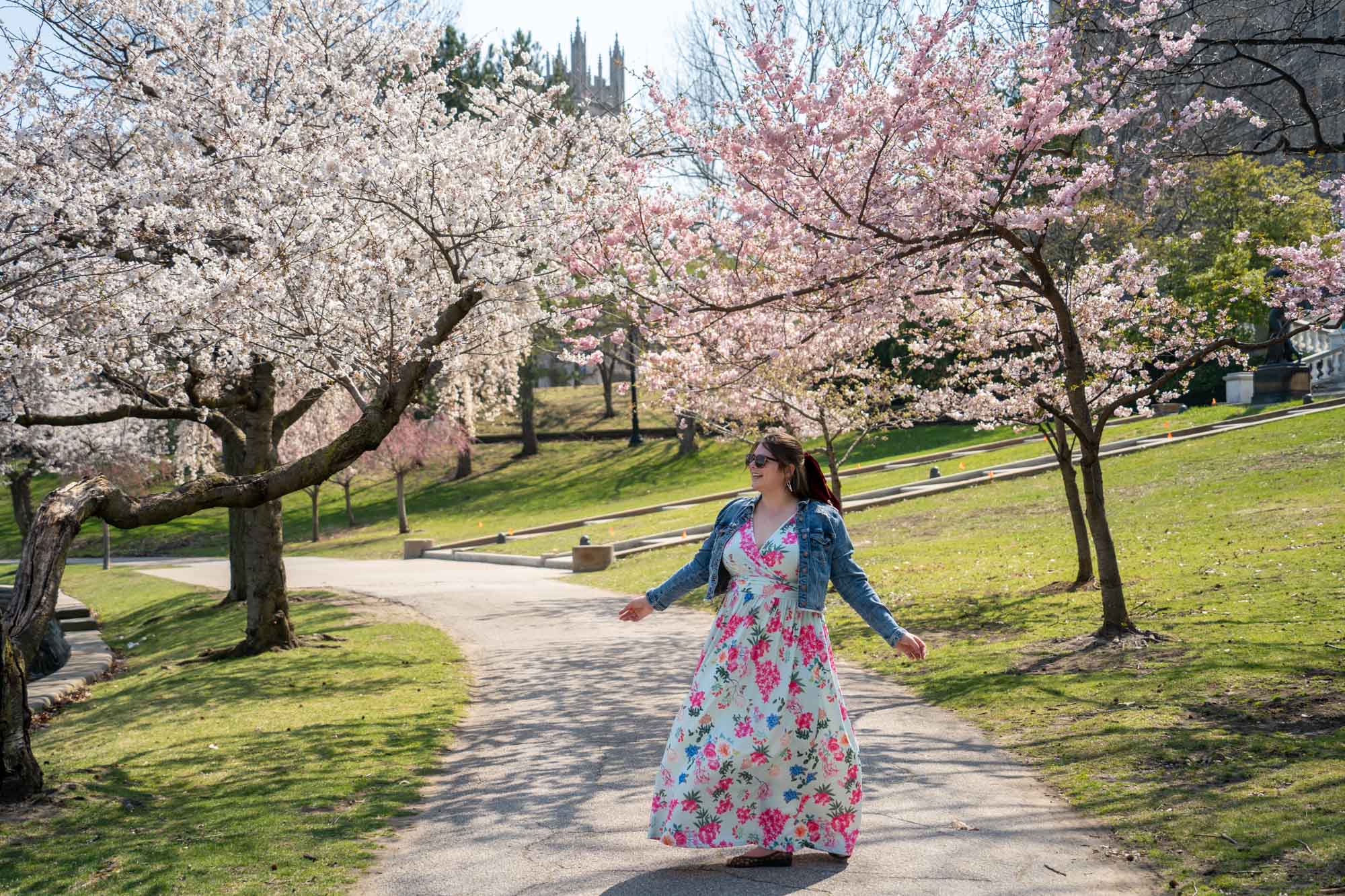You are currently viewing Where to See Beautiful Cherry Blossoms in Cleveland