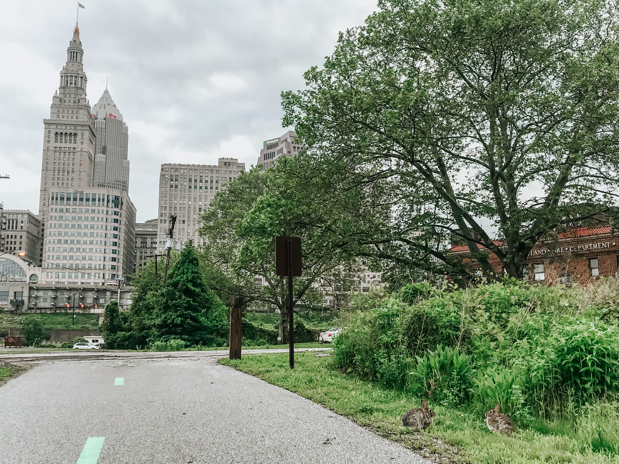 You are currently viewing The 10 Best Running Trails in Cleveland
