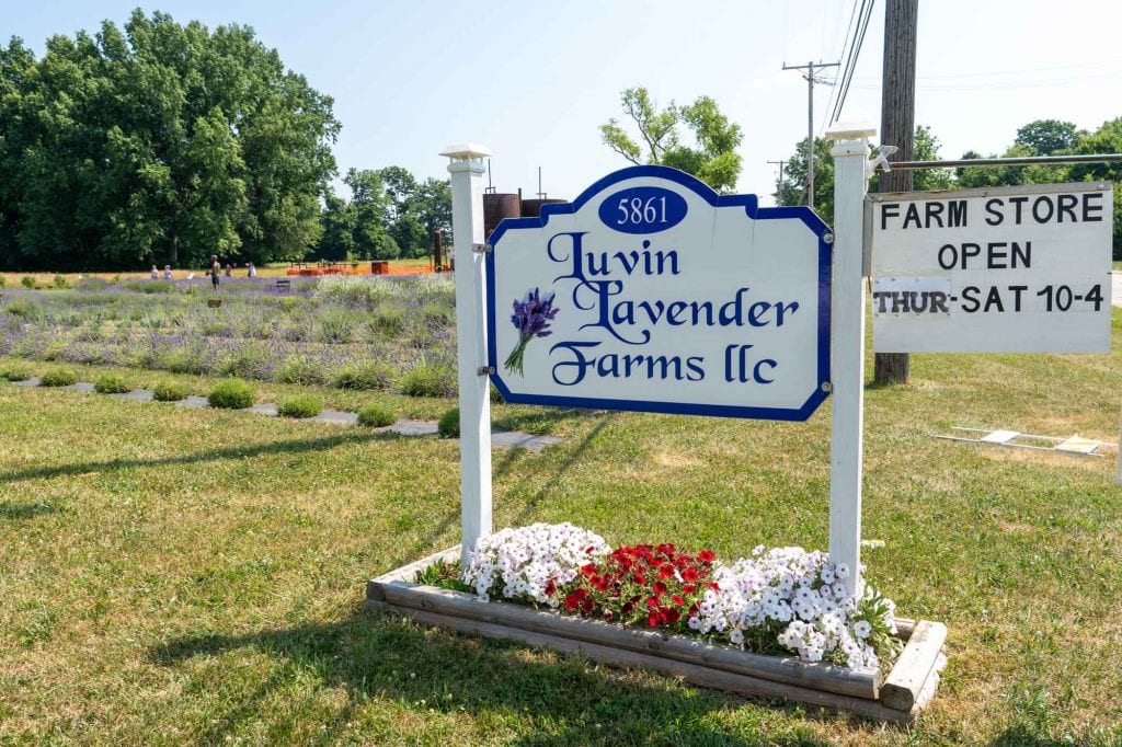 Luvin Lavender Farms sign