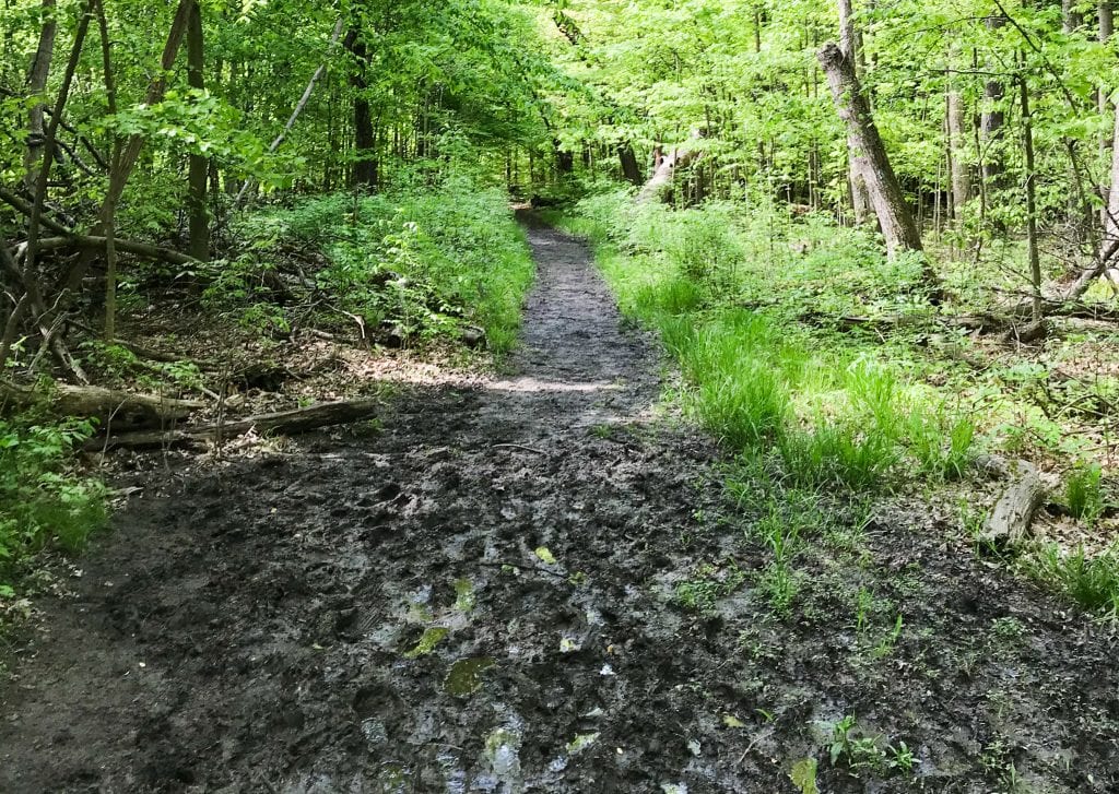Muddy Buckeye Trail