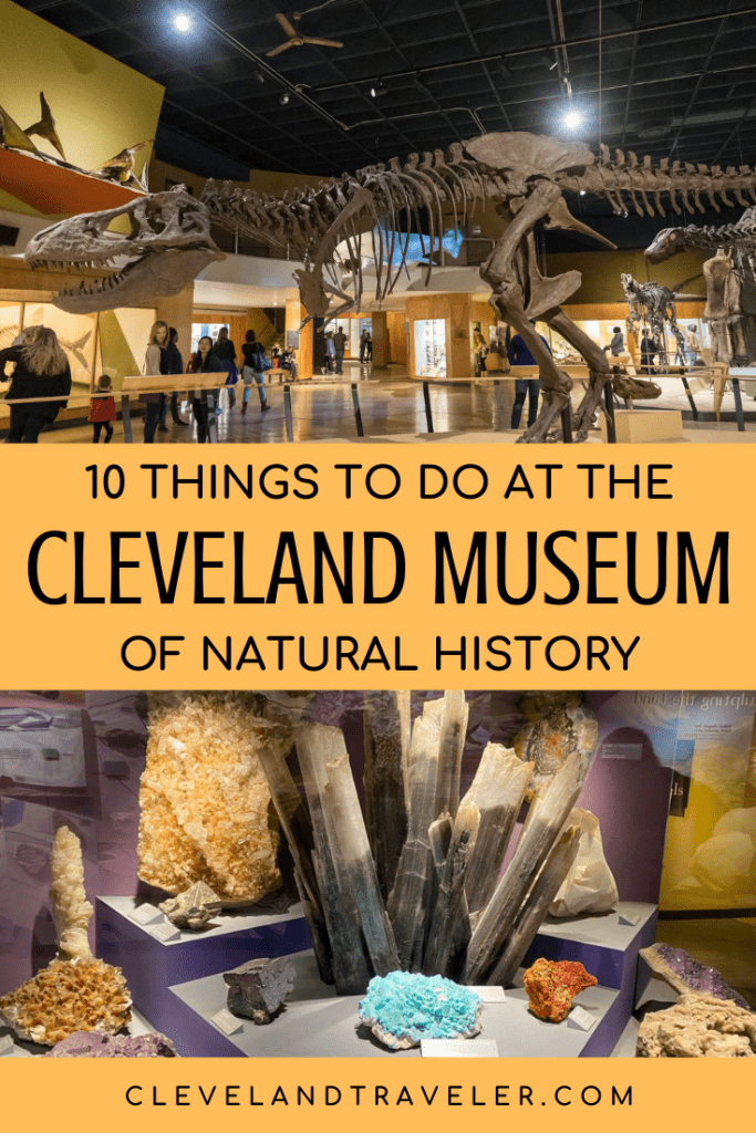 Things to do at the Cleveland Museum of Natural History