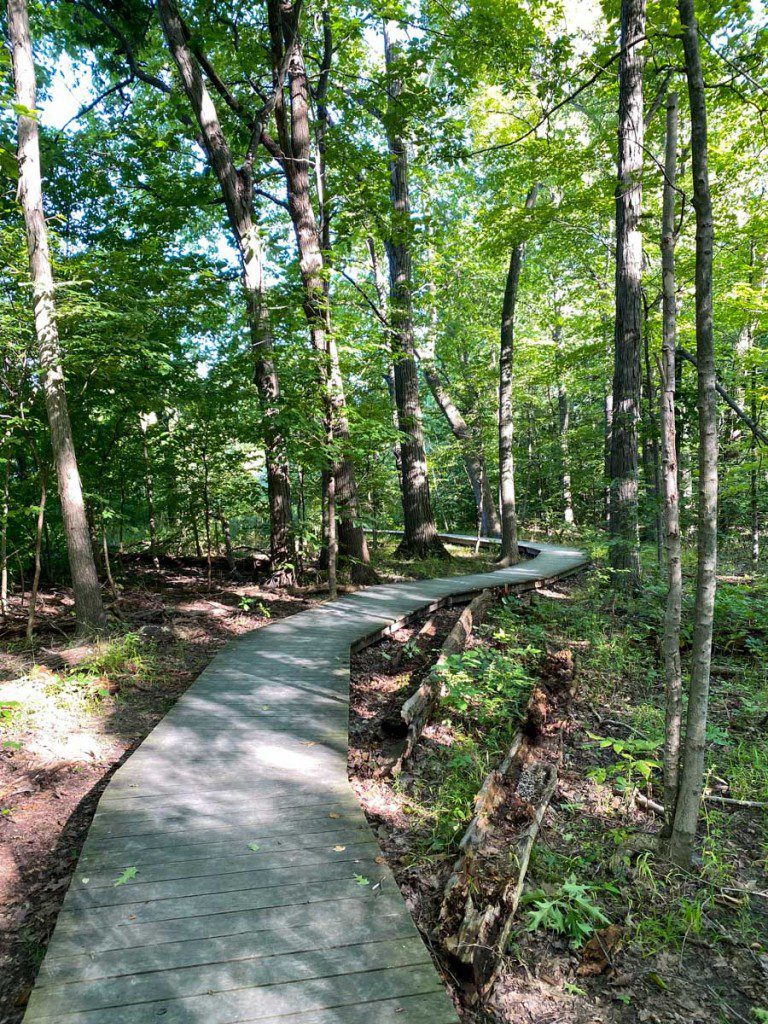 Wood Hollow Metro Park trail