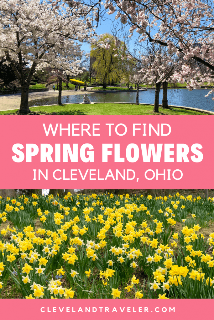 Where to see spring flowers in Cleveland