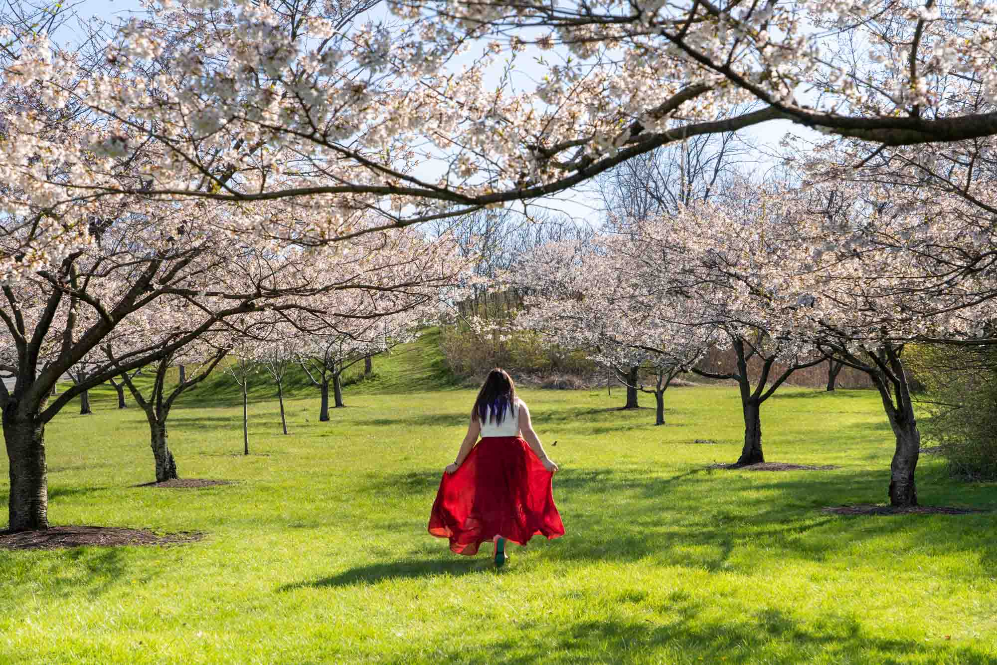 Amanda running under cherry trees