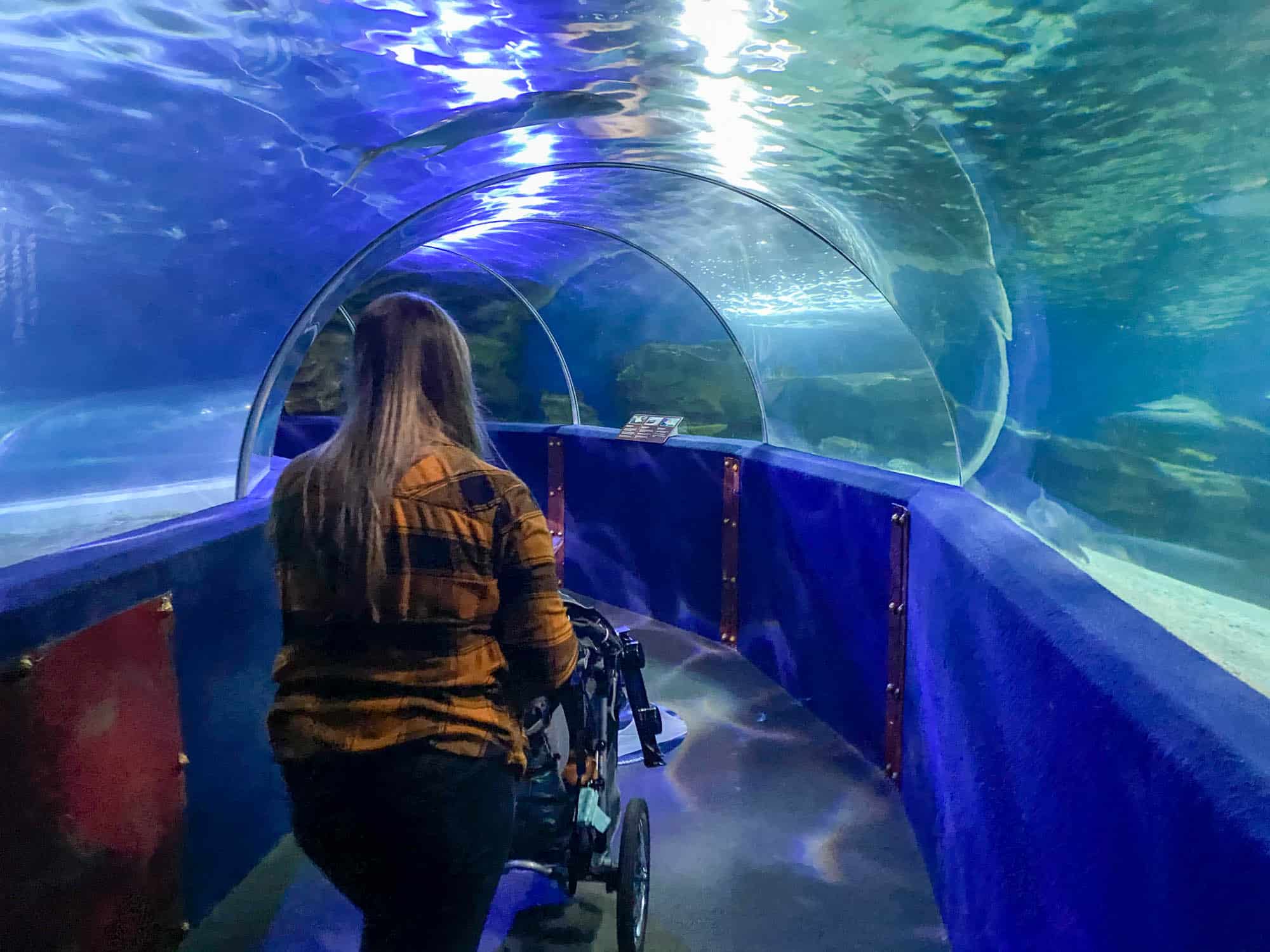 Pushing a stroller inside the shark tunnel at Greater Cleveland Aquarium
