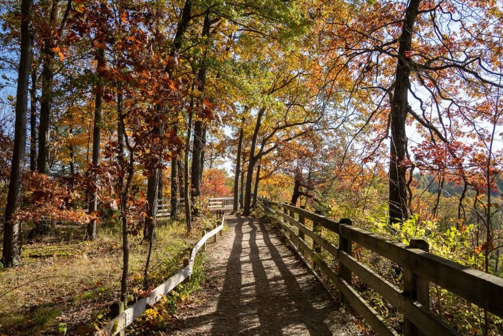 Fort Hill Loop trail in fall