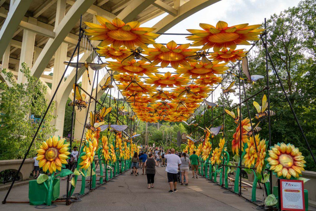 Flower tunnel at Asian Lantern Festival 2022