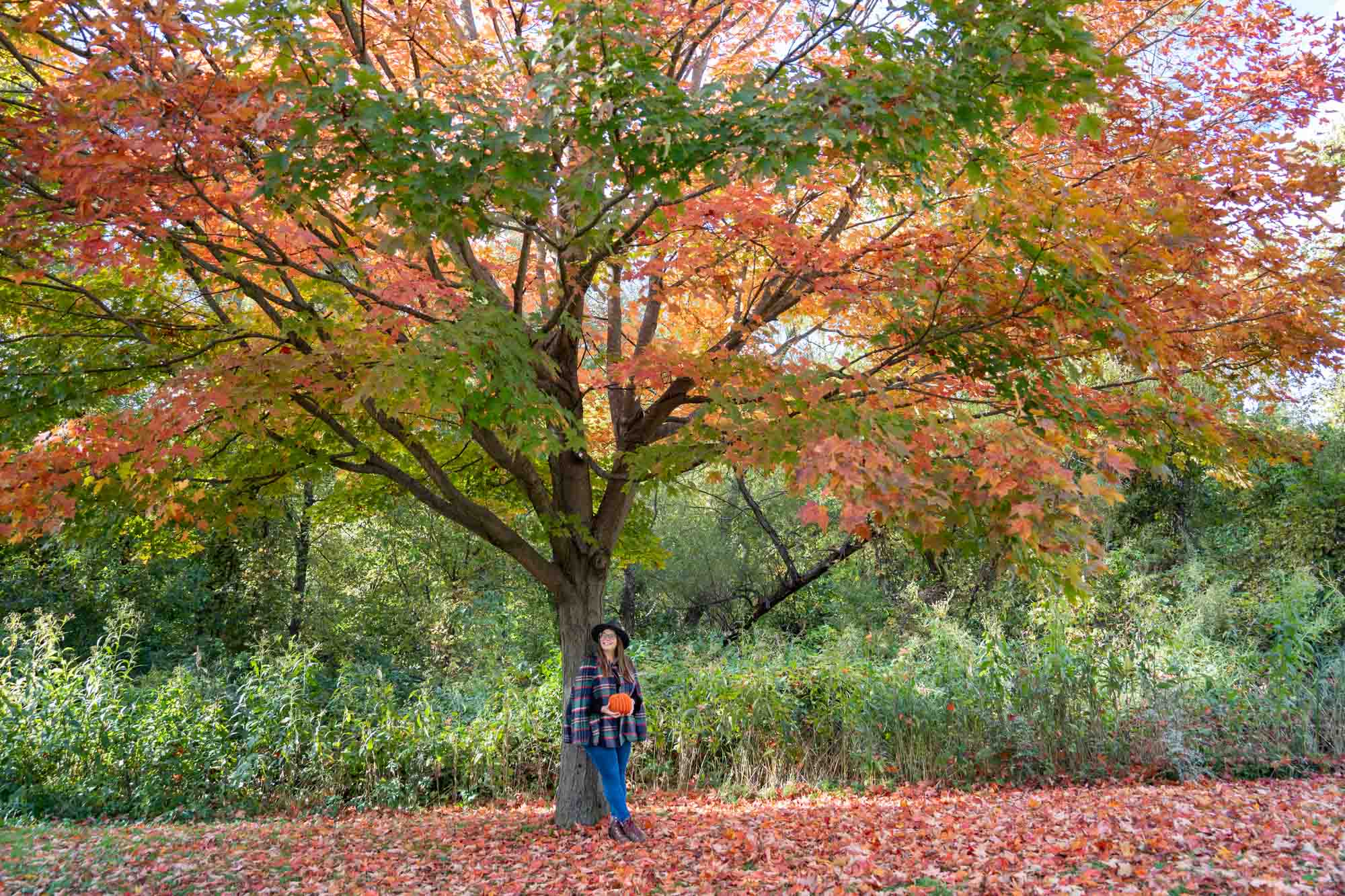 Read more about the article Visit These Spots to See the Best Fall Colors in Cleveland