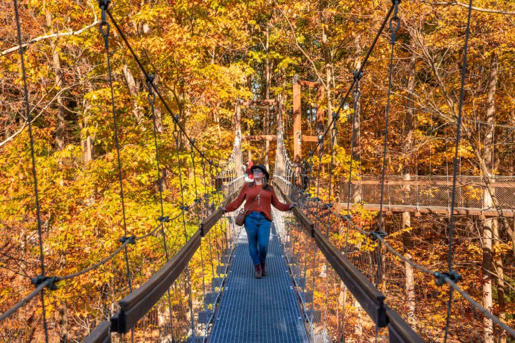 Holden Arboretum canopy walk in fall
