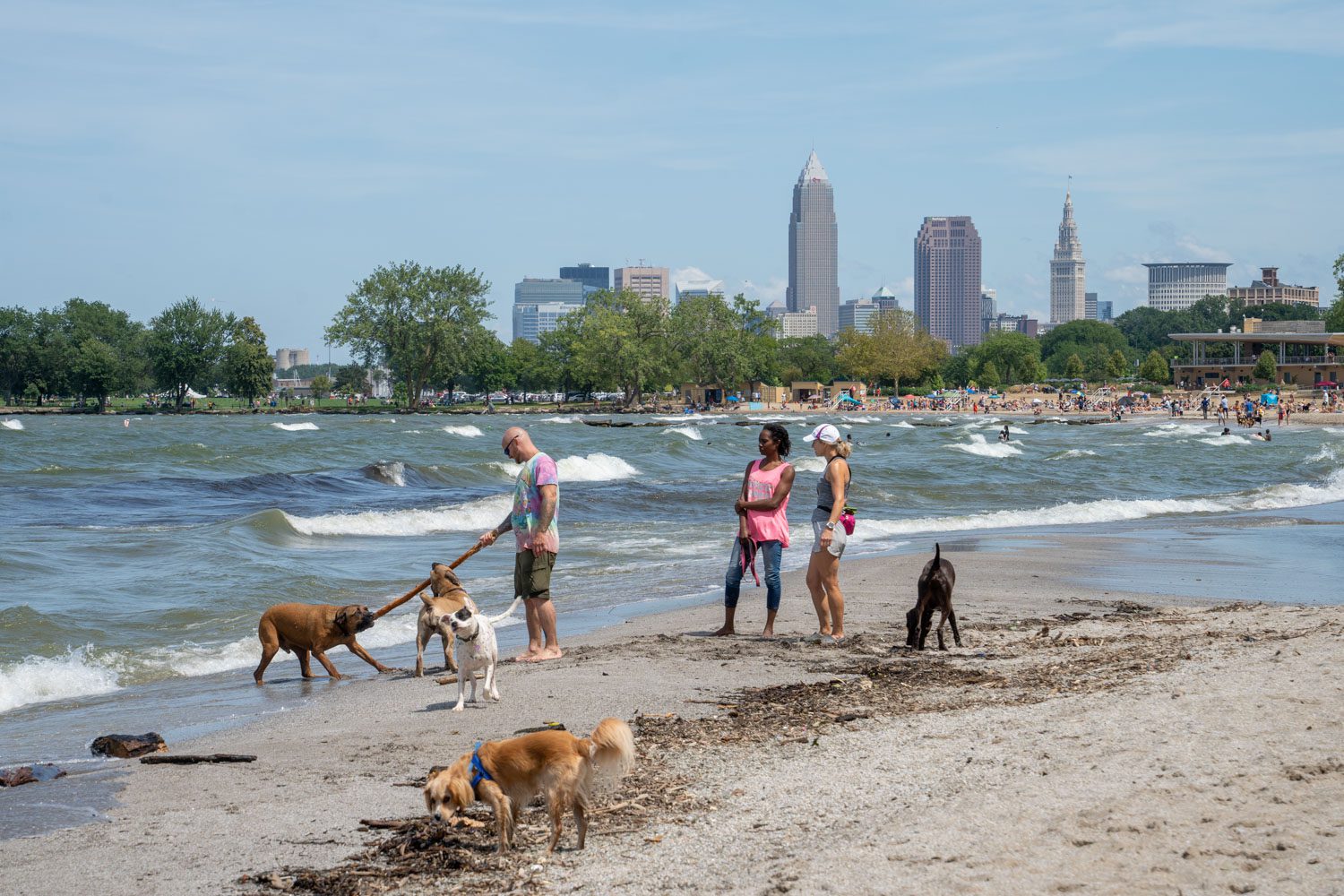 Read more about the article Dog-Friendly Cleveland: The Best Things to Do with Your Dog in Cleveland