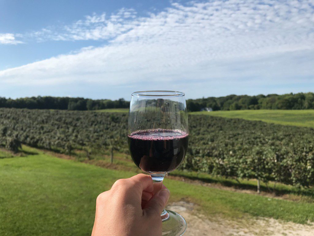 Red wine at a vineyard